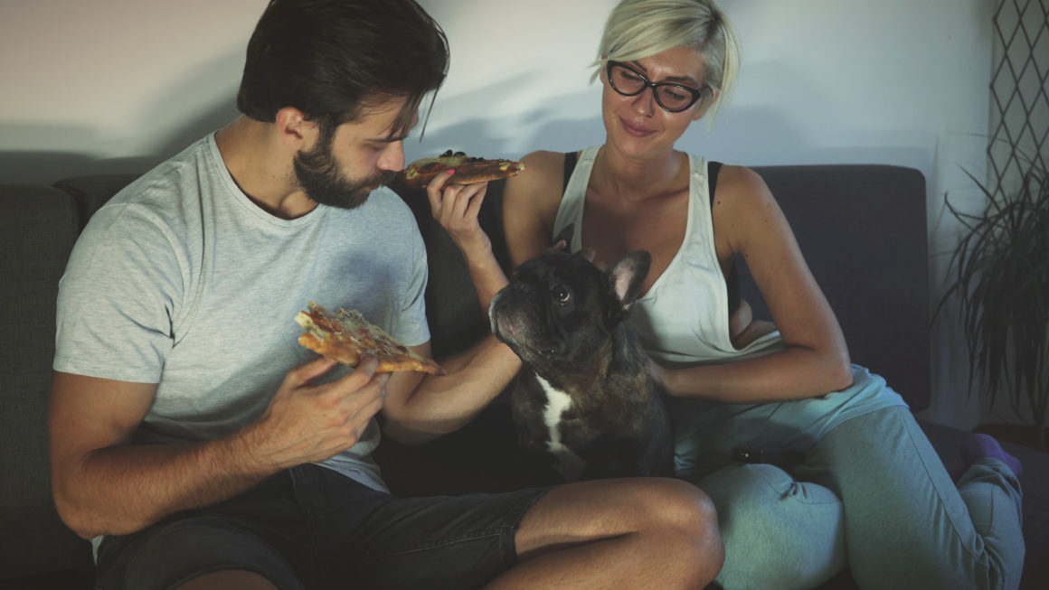Couple on a date eating pizza with a french bulldog