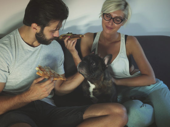 Couple on a date eating pizza with a french bulldog