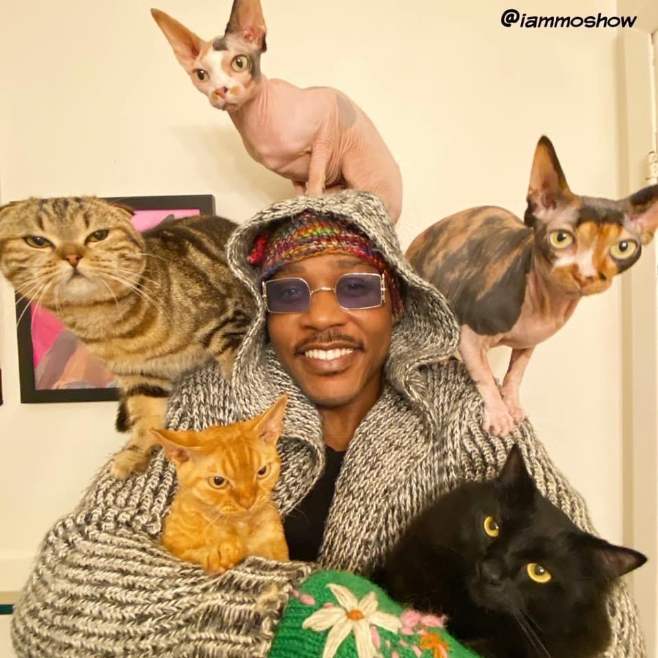 Moshow the cat rapper with his five cats